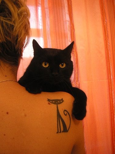 tattoo gato 2